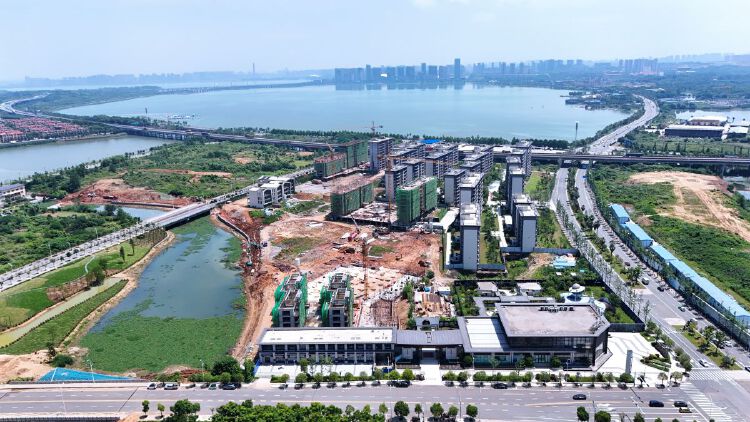 实景图2025年6月