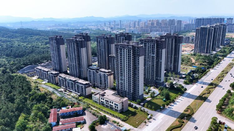 实景图