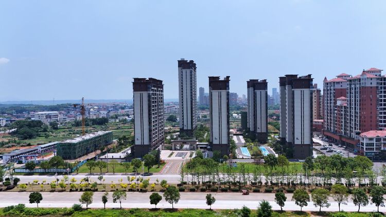实景图