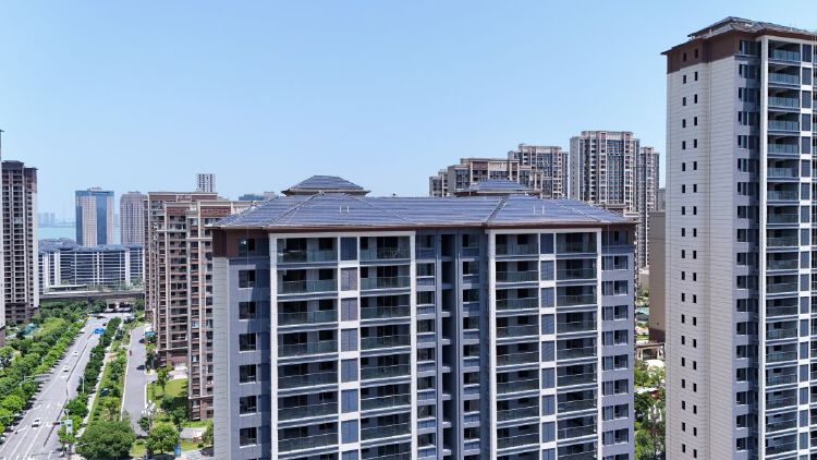 实景图2025年6月15日
