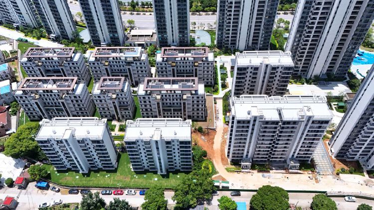 实景图2025年6月