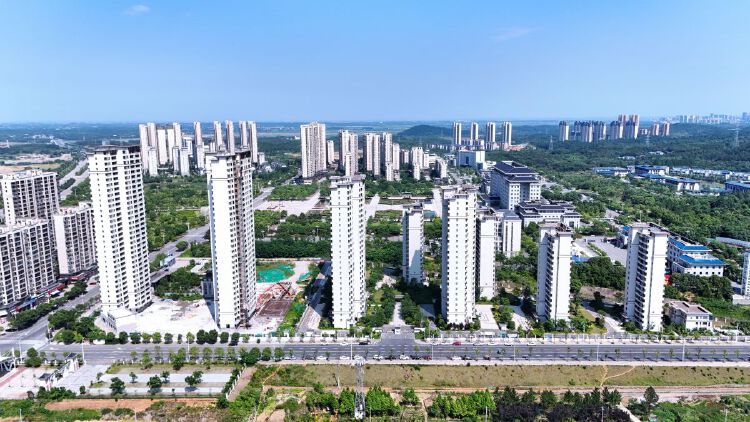 实景图2025年