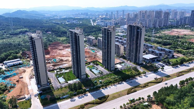 实景图2025年