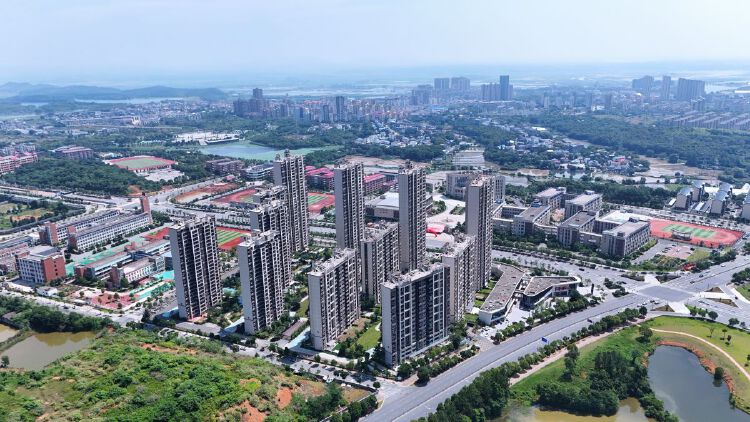 实景图