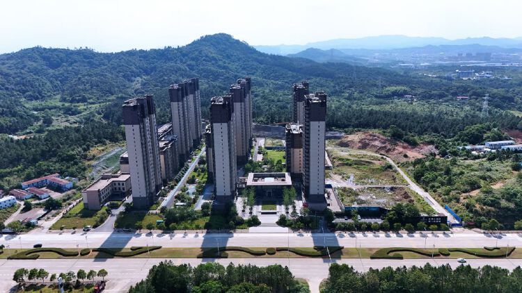 实景图