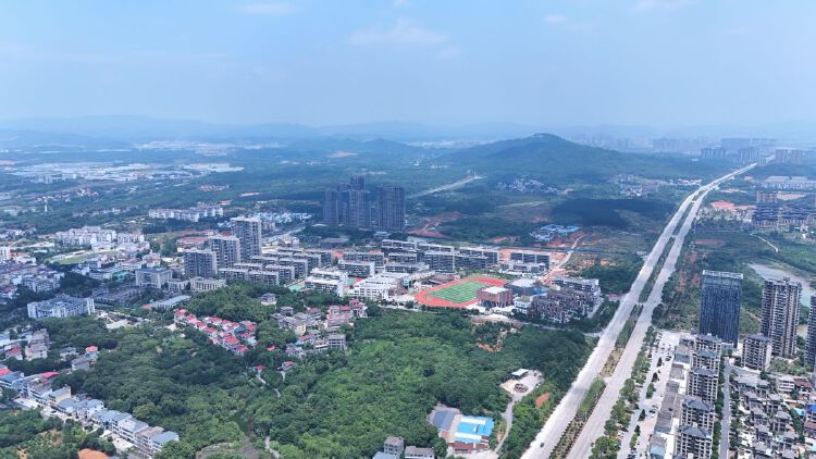 实景图