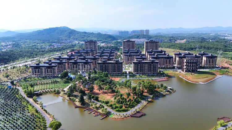 实景图