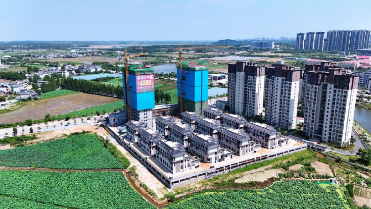 实景图