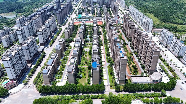 实景图