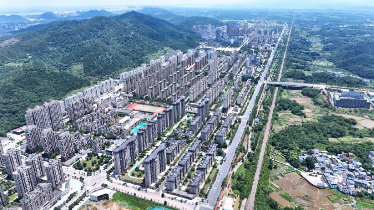 实景图