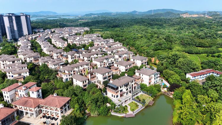 实景图