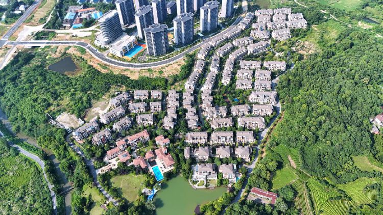 实景图