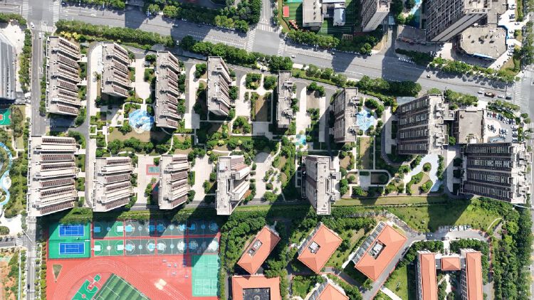 实景图