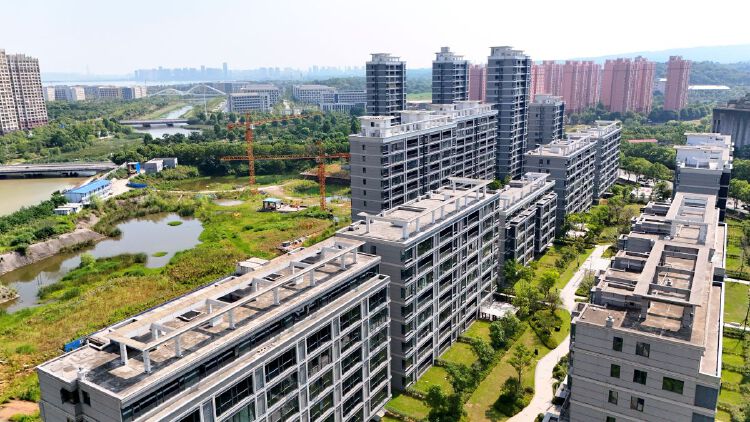 实景图2025年7月15日