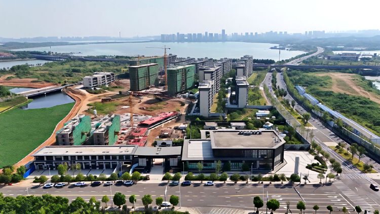 实景图2025年8月