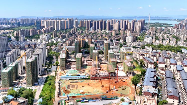 实景图2025年8月20日
