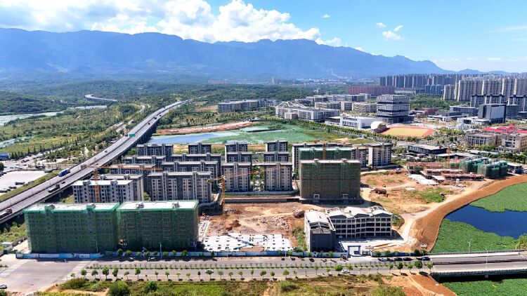 实景图2025年8月