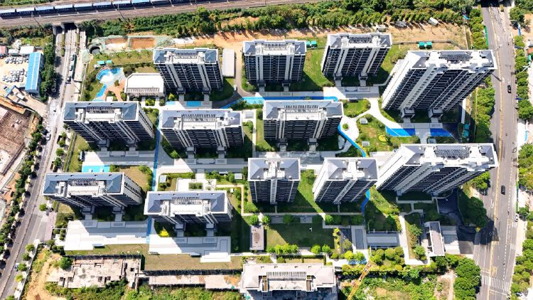 实景图2025年8月20日