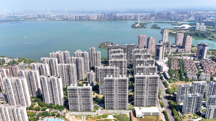 实景图2025年8月20日