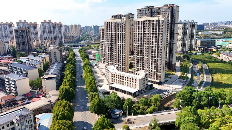 实景图2025年8月20日