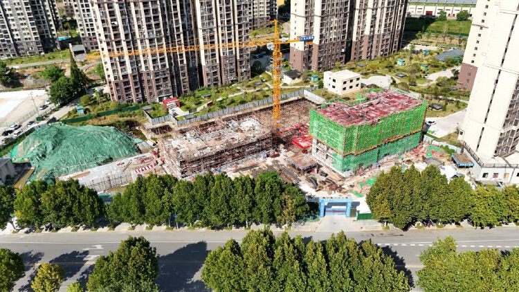 实景图2025年8月20日