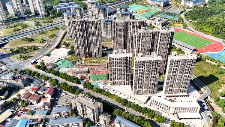 实景图2025年8月20日