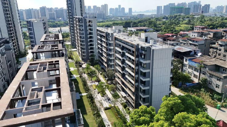 实景图2025年8月20日