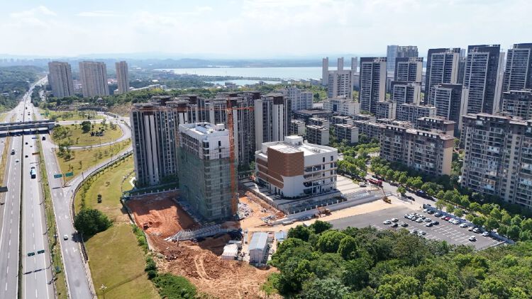 实景图2025年8月20日