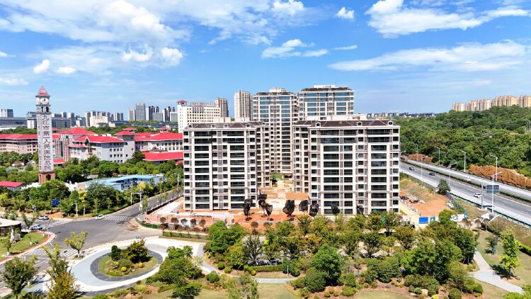 实景图2025年8月10日