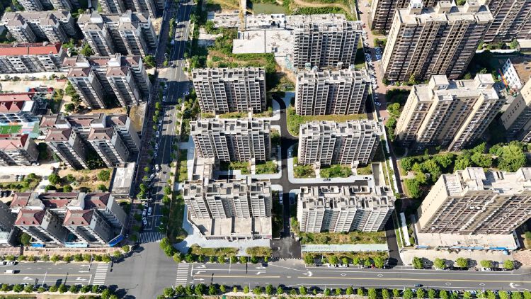 实景图2025年8月20日