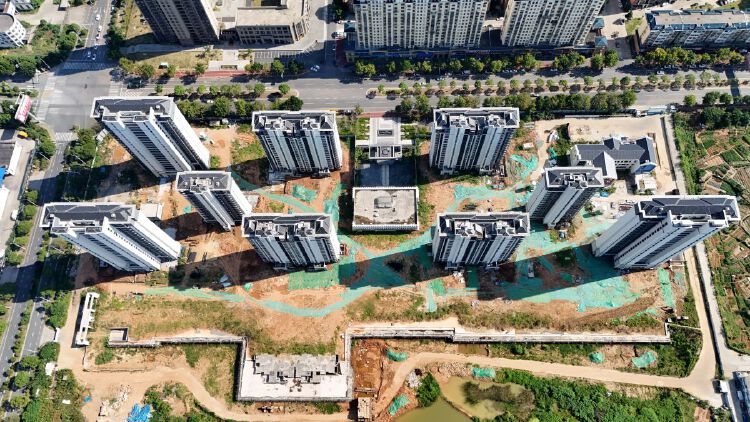 实景图2025年8月20日