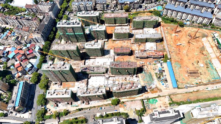 实景图2025年8月20日