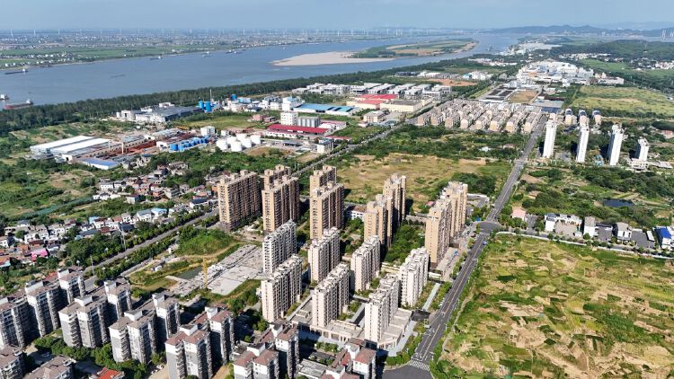 实景图2025年8月20日