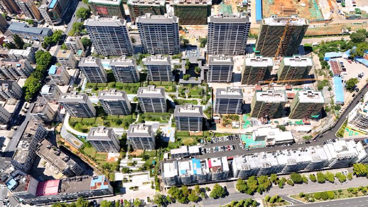 实景图2025年8月20日