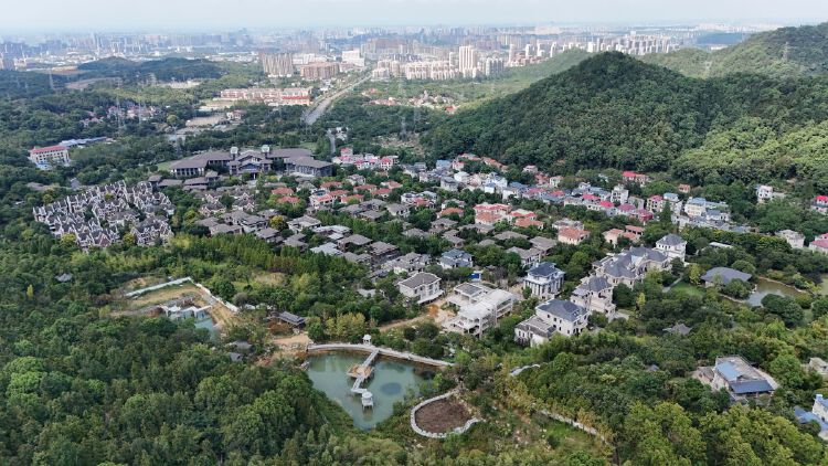实景图