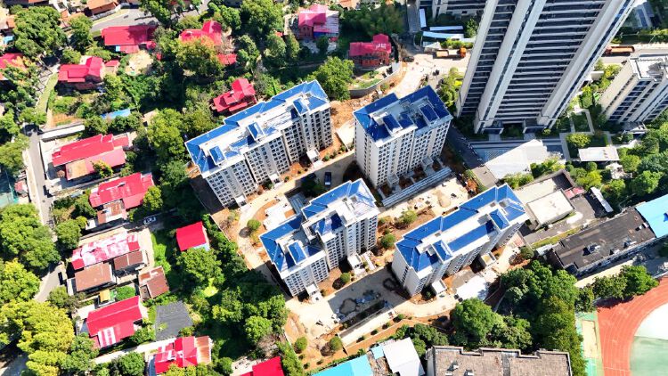 实景图2025年9月15日