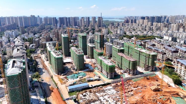 实景图2025年10月5日