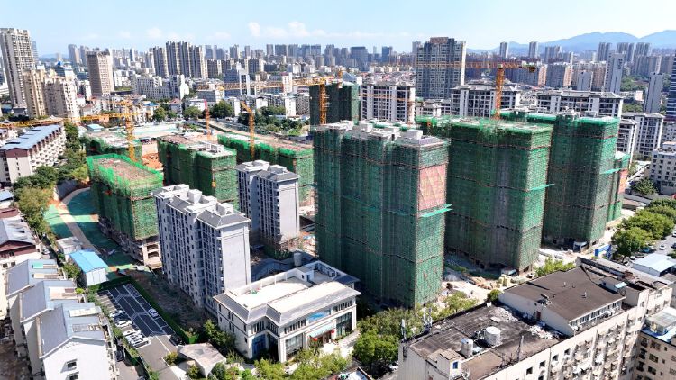 实景图2025年10月5日