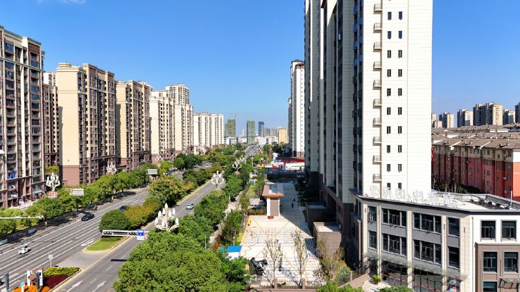 实景图2025年10月22日