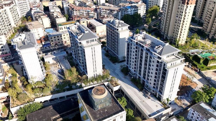 实景图2025年10月23日 实景图2025年10月23日