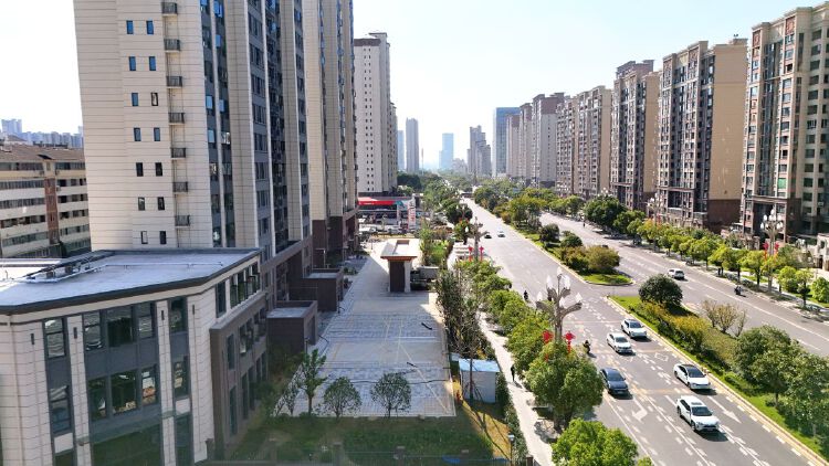 实景图2025年10月22日