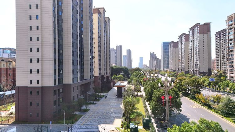 实景图2025年10月22日