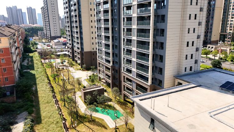 实景图2025年10月22日