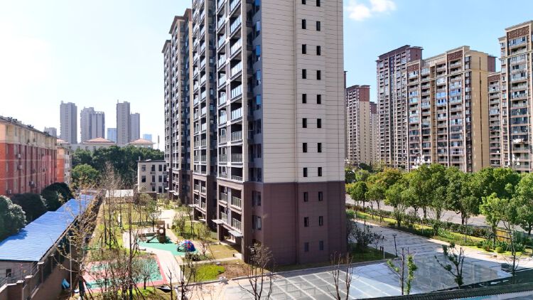 实景图2025年10月22日