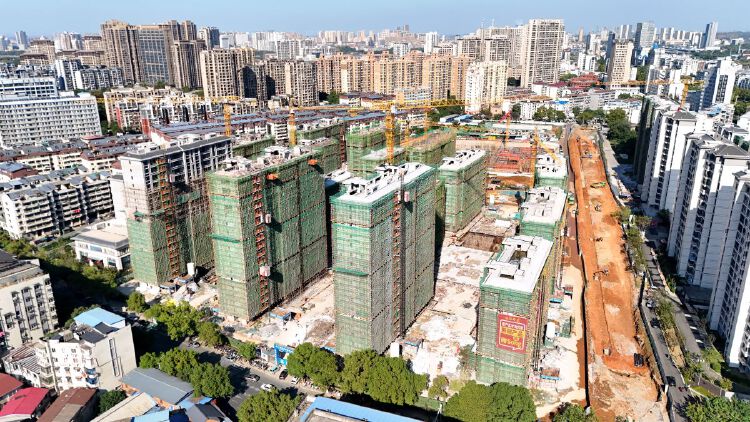 实景图2025年10月22日 实景图2025年10月22日