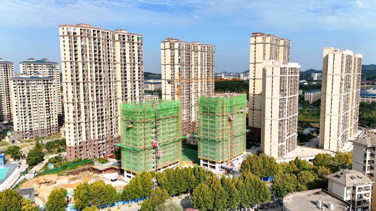 实景图2025年10月20日