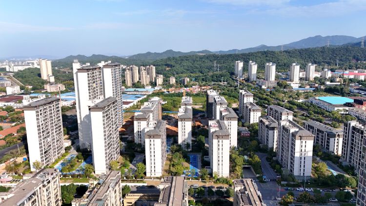 实景图2025年10月20日 实景图2025年10月20日