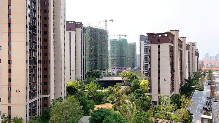 实景图2025年10月