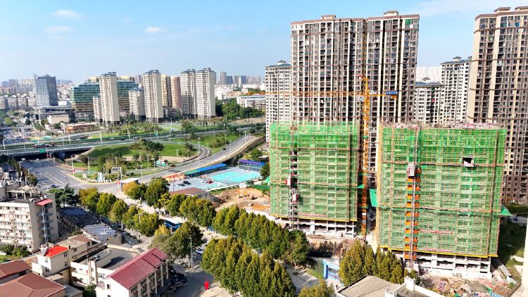 实景图2025年10月20日