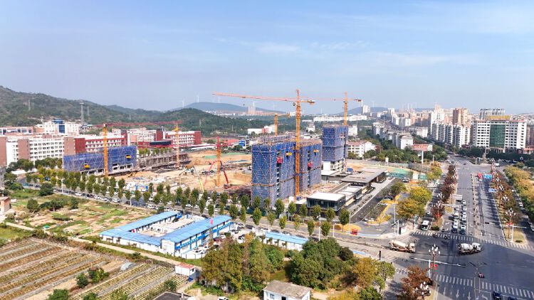 实景图2025年10月